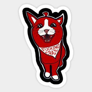 Crazy cat cat lover gift Sticker